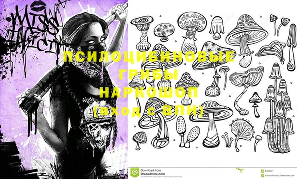прущая мука Баксан