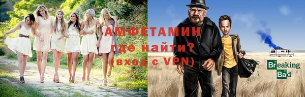 сатива Балахна