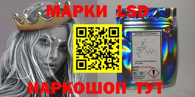 хмурый Сланцы