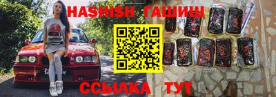 хмурый Сланцы