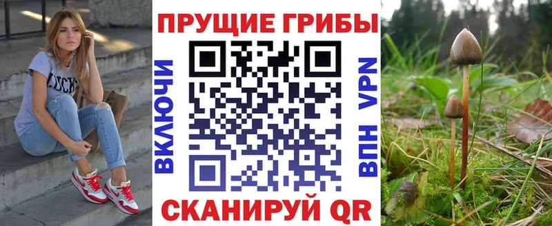 Галлюциногенные грибы мухоморы  Усть-Джегута 