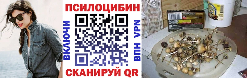 Псилоцибиновые грибы Psilocybe Усть-Джегута