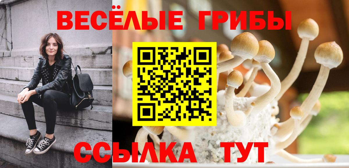 Псилоцибиновые грибы Psilocybe  Вход с VPN  Усть-Джегута  Псилоцибиновые грибы Psilocybine cubensis 