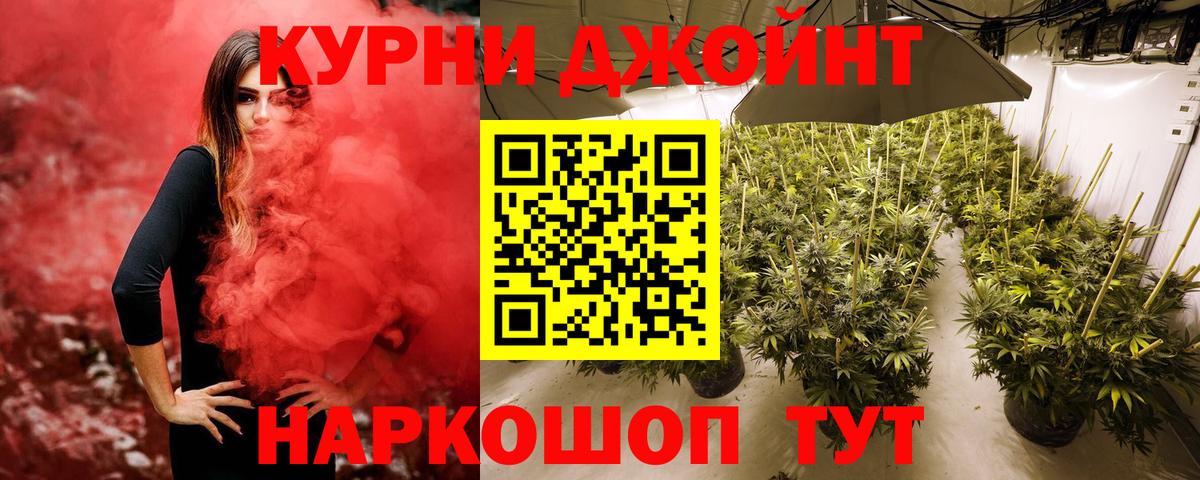 Бошки марихуана тримм  Бошки Шишки THC 21%  Вход с VPN  Усть-Джегута  Бошки марихуана гибрид  Бошки Шишки White Widow 